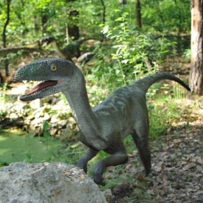 Life-sized velociraptor model in a forest setting