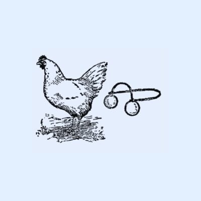 Illustration of a chicken next to a pair of chicken spectacles