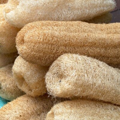 Pile of dried loofah sponges with fibrous texture