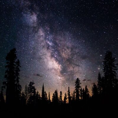 Milky Way galaxy visible in a star-filled night sky above a forest silhouette