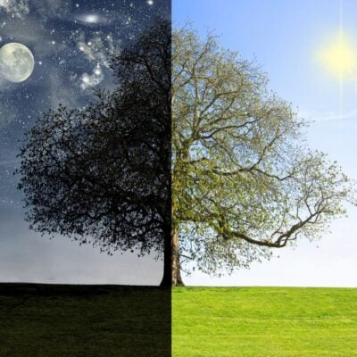 Tree dividing a night sky with moon and stars from a sunny daytime sky