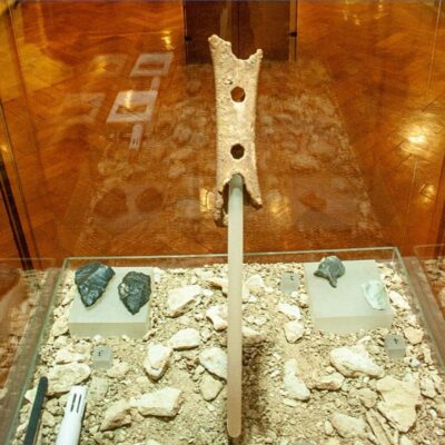 The Divje Babe flute displayed in a glass museum case with surrounding stone artifacts