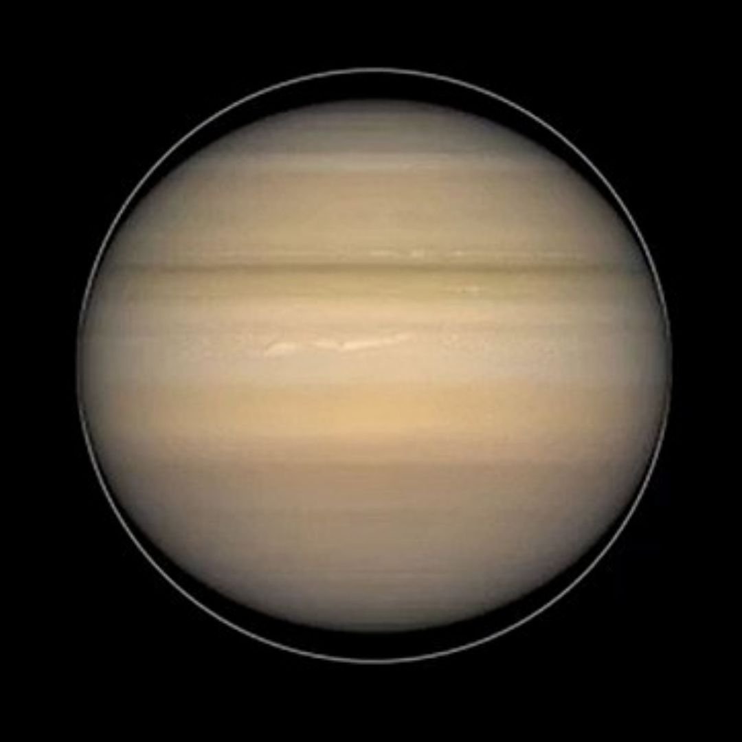 Saturn’s rapid rotation and low density cause the planet to bulge at its equator, making it the flattest planet in the Solar System.