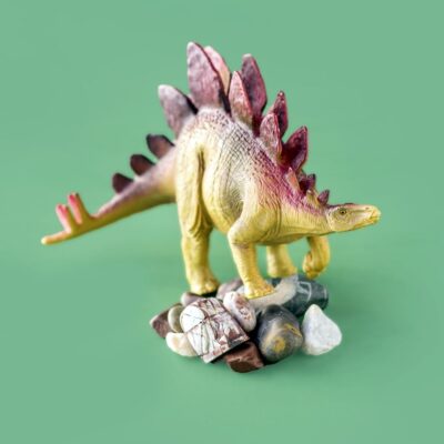 Stegosaurus toy figure standing on assorted small rocks