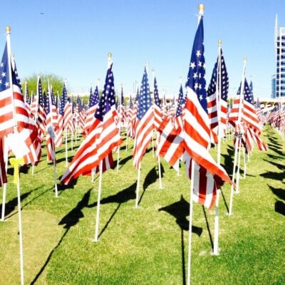 Rows of American flags displayed on a grassy field under a clear blue sky