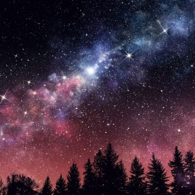 Star-filled night sky with colorful Milky Way over silhouetted pine trees