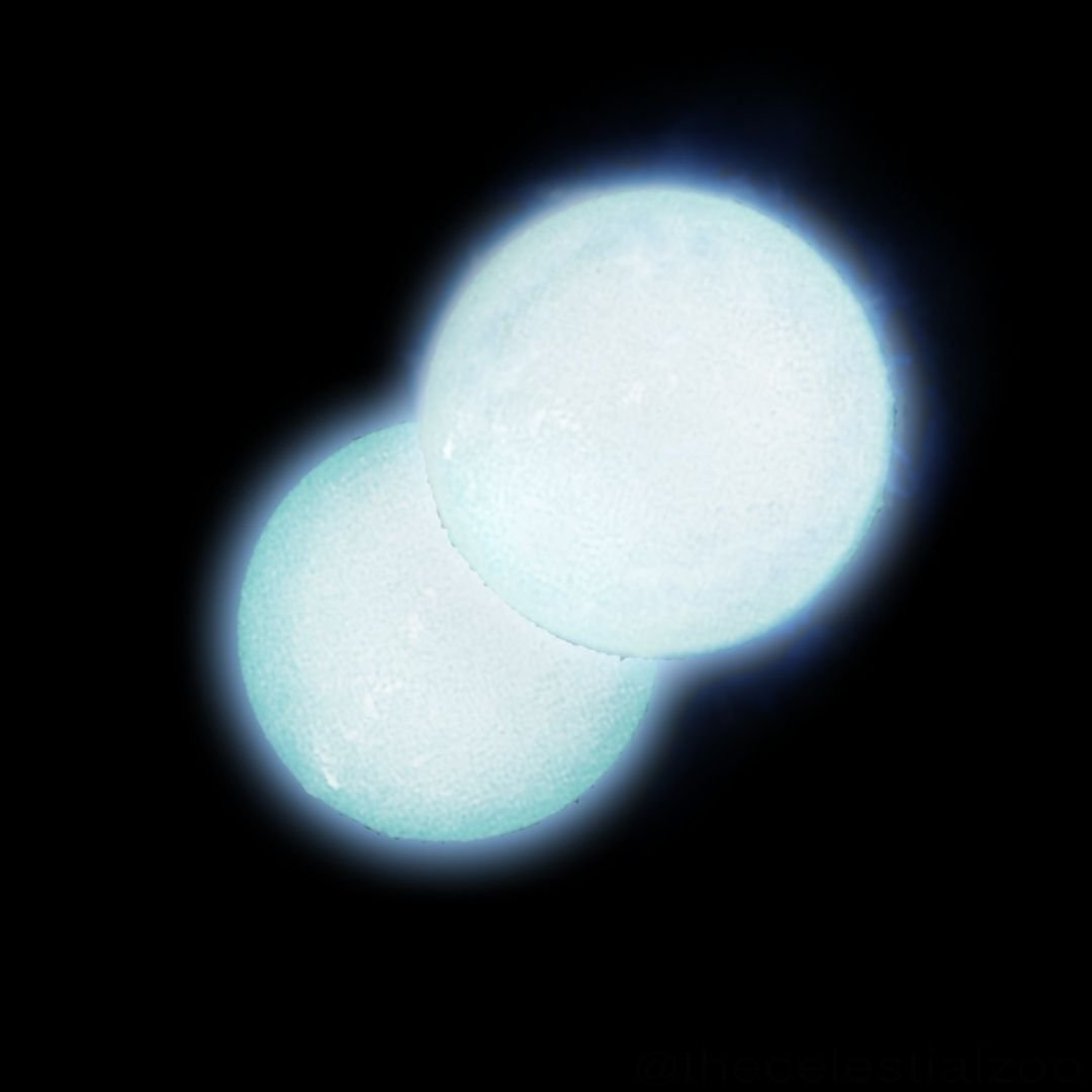 Roughly half of all stars like our Sun have a companion star, and larger stars are even more likely to form in pairs or groups.