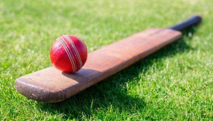 A cricket bat and red ball on green grass,