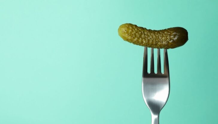 Pickle on a fork against a light green background