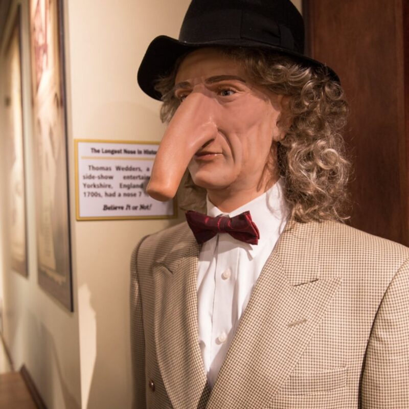 Wax figure of Thomas Wedders with an exaggeratedly long nose and curly hair