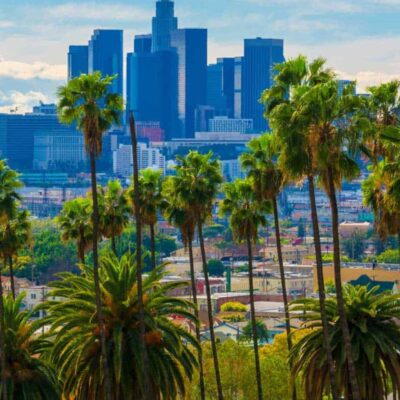 Palm trees with Los Angeles skyline in the background