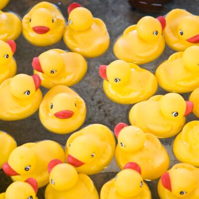 Multiple yellow rubber ducks floating in water
