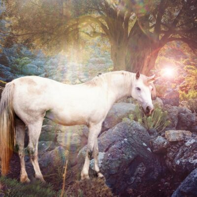 White unicorn standing on rocky terrain with sunlight filtering through trees