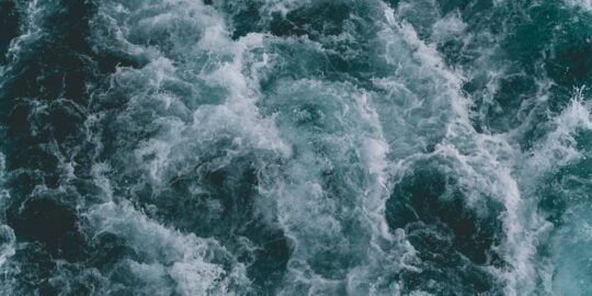 5 Wonderful Facts About the World’s Oceans