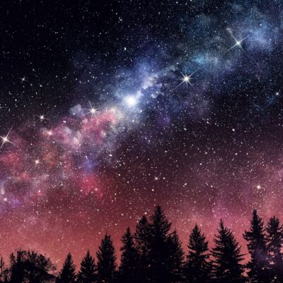 Star-filled night sky with the Milky Way above silhouetted pine trees