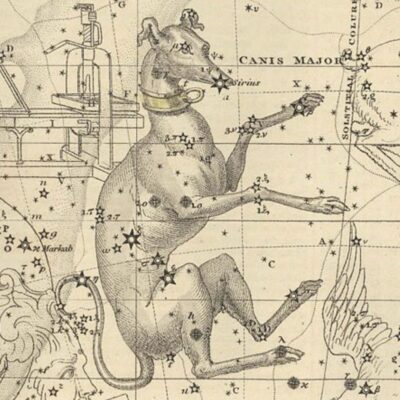Illustrated star map of the Canis Major constellation with Sirius marked on the dog's nose