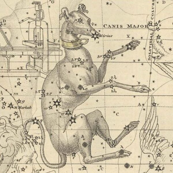 Illustrated star map of the Canis Major constellation with Sirius marked on the dog's nose