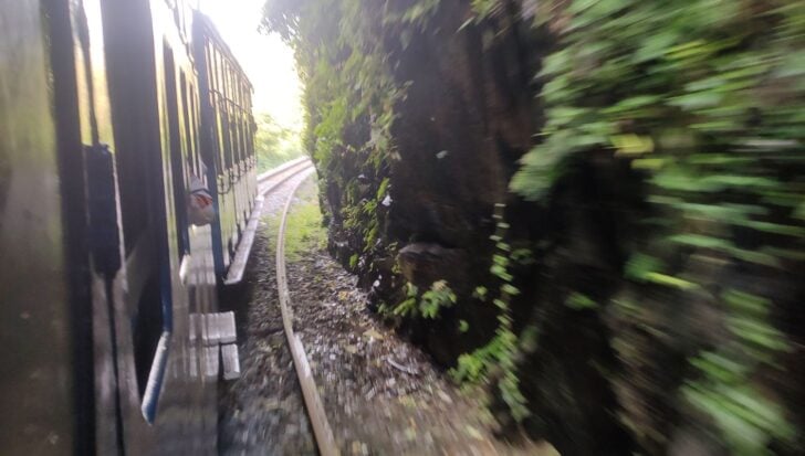 Train moving along a tracks through a narrow, lush green passageway