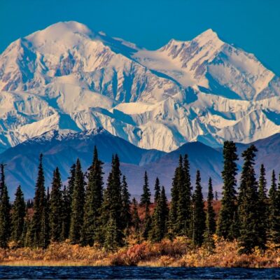 Snow-capped Alaska mountains rise behind a dense stand of evergreen trees and a tranquil lake